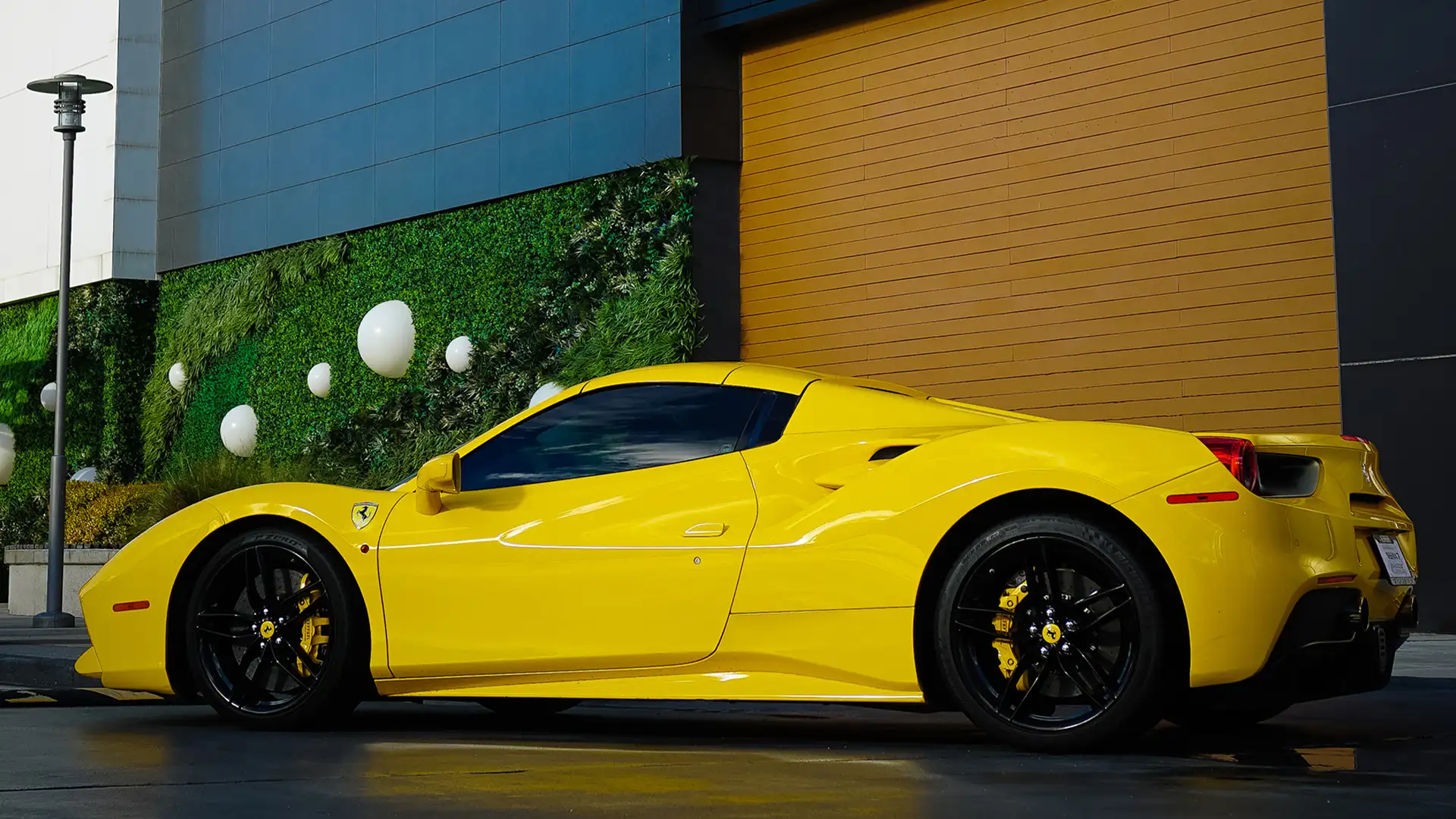 ferrari car spider