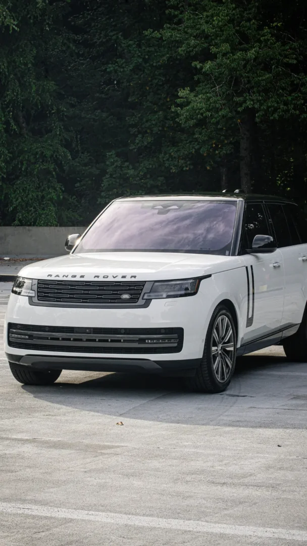 ATL Potrat Image (17)